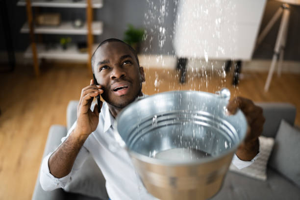 Best Carpet water damage restoration  in Fort Belvoir, VA