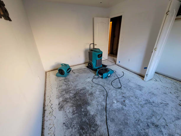 Best Water damage restoration near me  in Fort Belvoir, VA