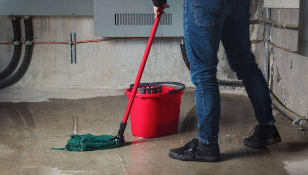 Best Ceiling water damage repair  in Fort Belvoir, VA