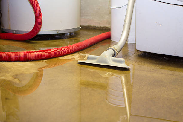 Fort Belvoir, VA Water damage restoration Company