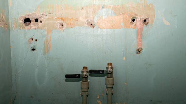 Best Flood restoration services  in Fort Belvoir, VA
