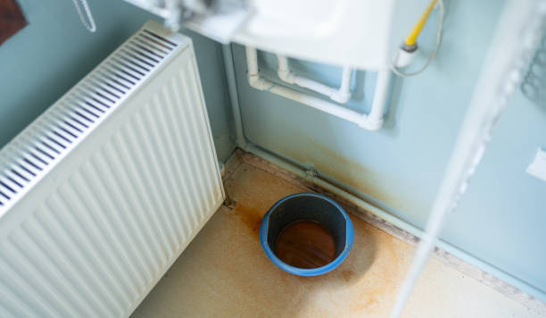 Best Flood damage cleanup  in Fort Belvoir, VA