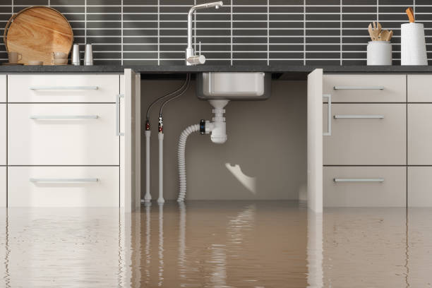 Best Mold removal after water damage  in Fort Belvoir, VA